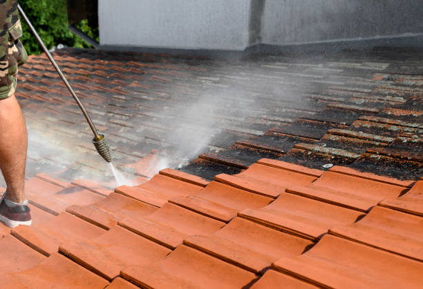 Best Deck Pressure Washing  in Chesterton, IN