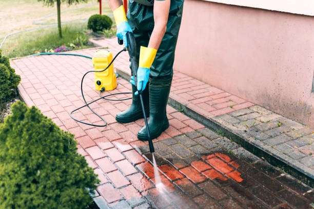 Best Roof Pressure Washing  in Chesterton, IN