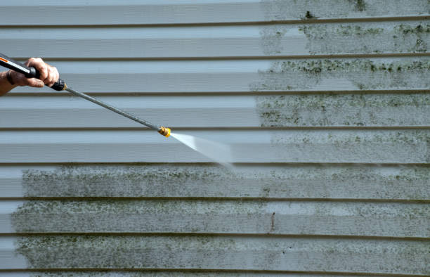 Professional Pressure Washing in Chesterton, IN