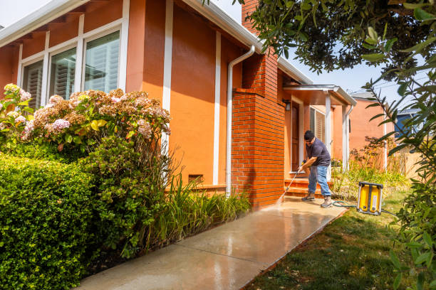 Best Roof Power Washing Services  in Chesterton, IN